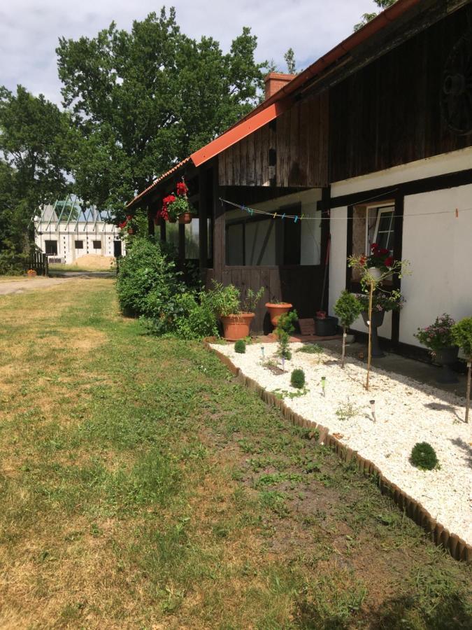 Agroturystyka Pod Debami W Klukach Smoldzino Exterior photo